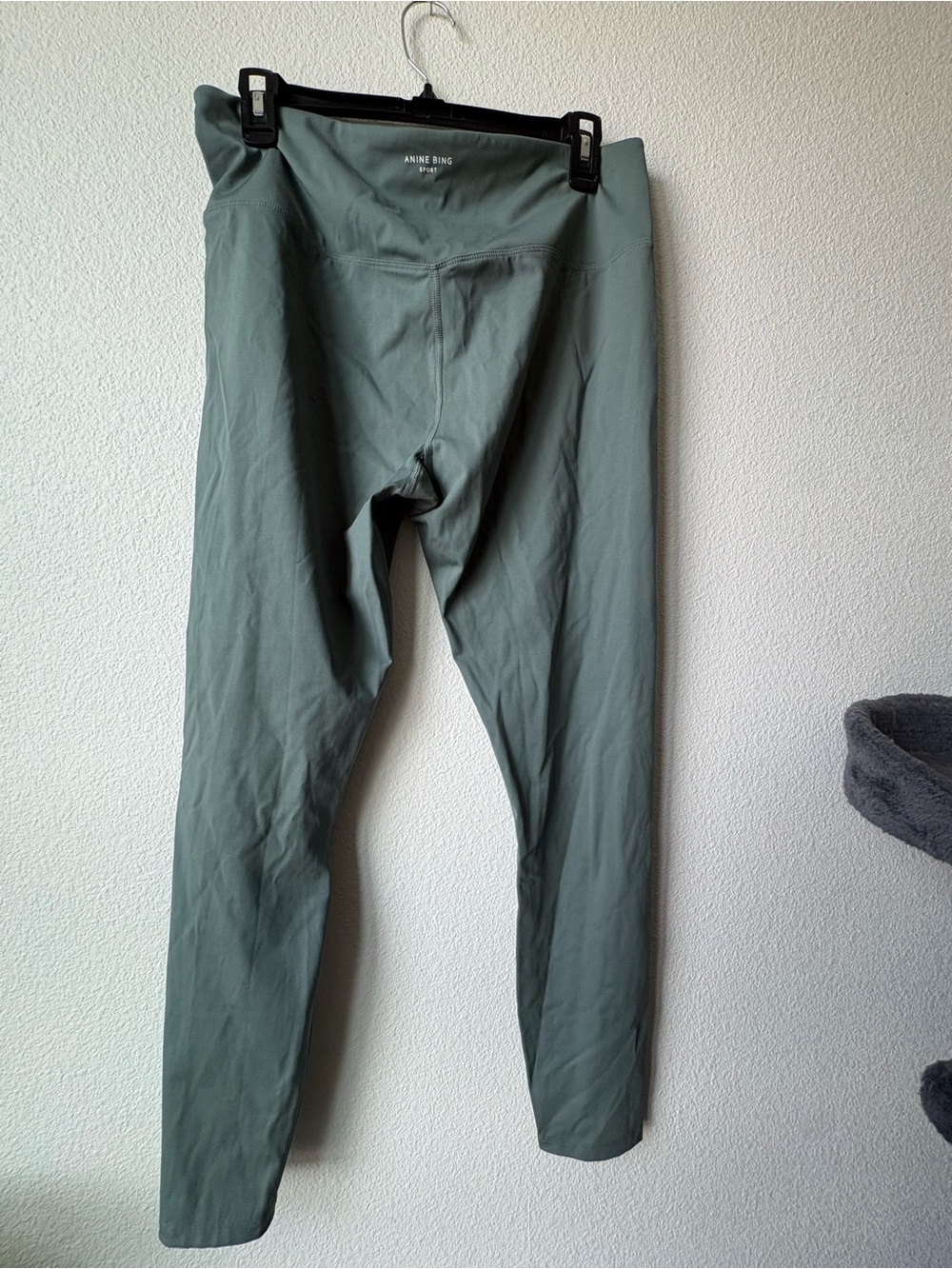 Anine Bing Women's Sage Green Leggings
